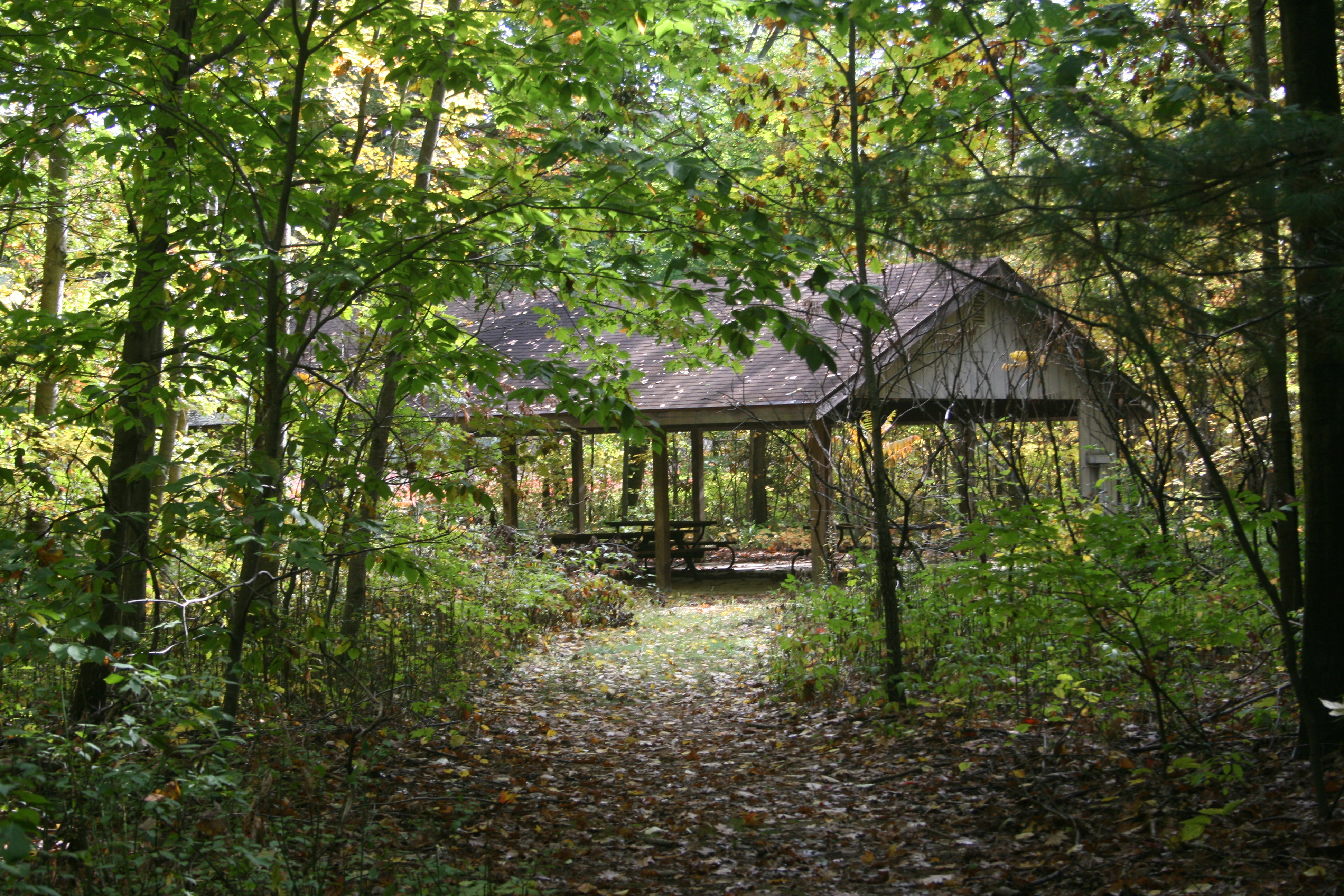 Pavilion